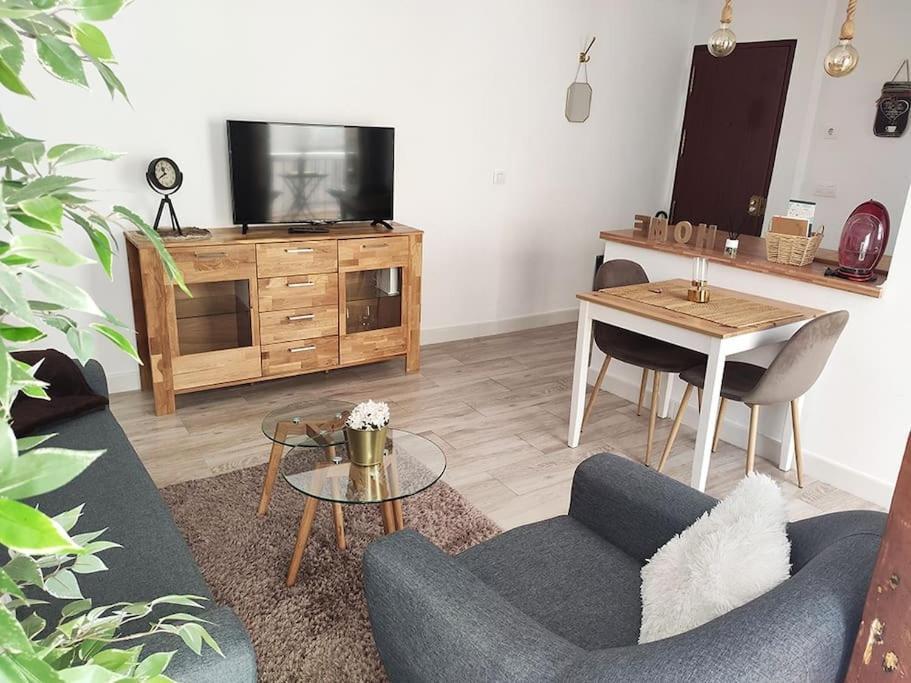 'mini Jungle' En El Corazon De Apartament Cadis
